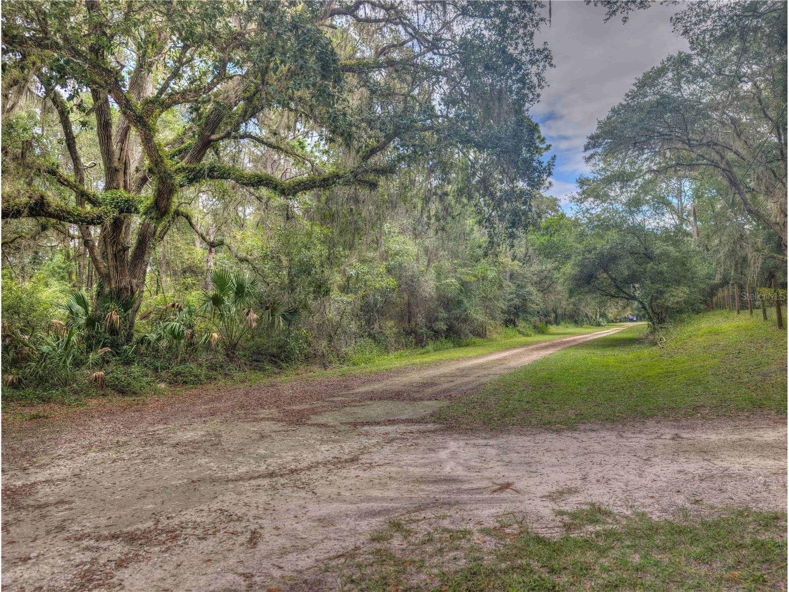 2259 W Wildflower Court Dunnellon FL 34434 OM709400 image7
