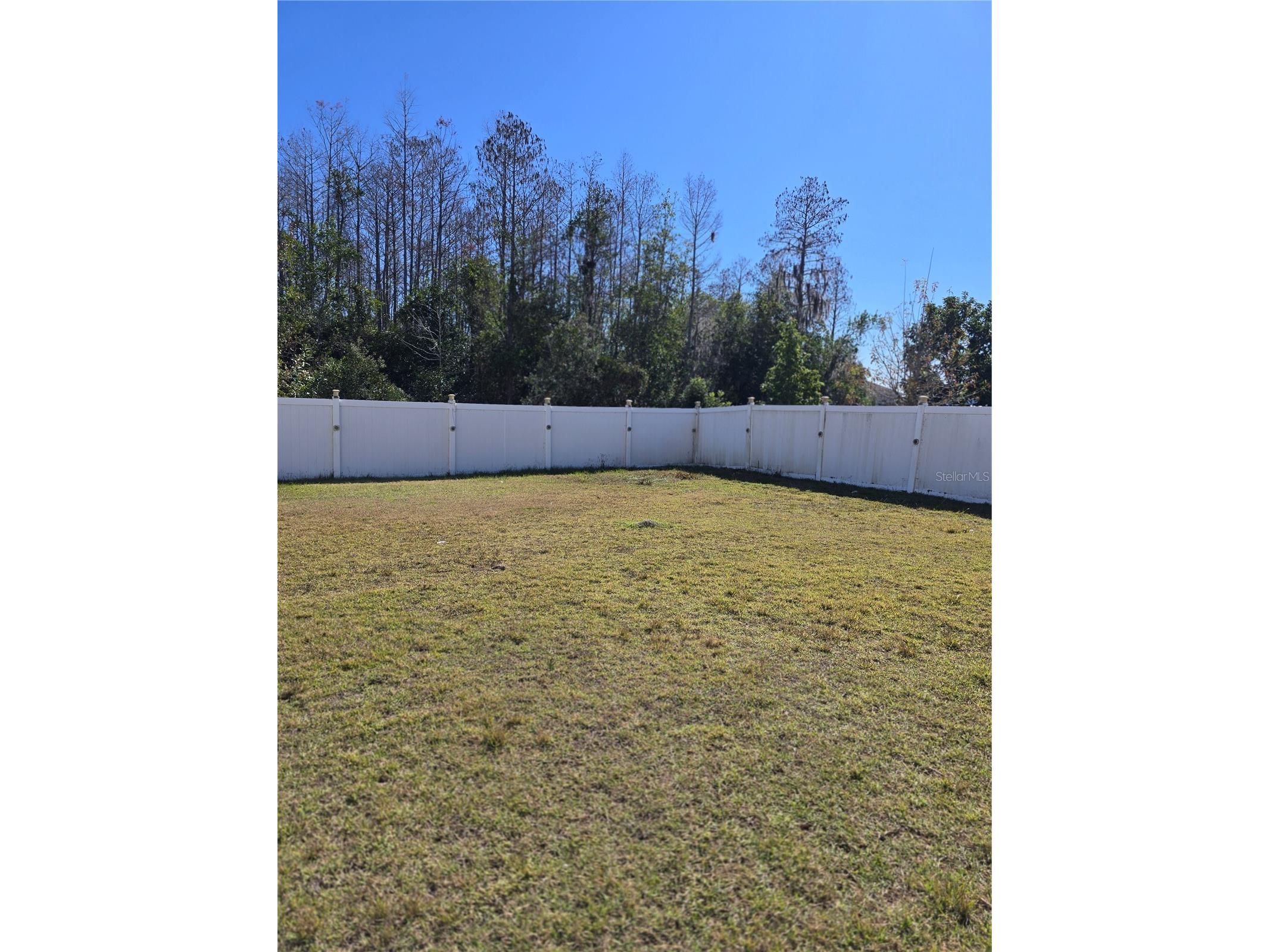 2259 Waukegan Drive Kissimmee FL 34758 S5142558 image11