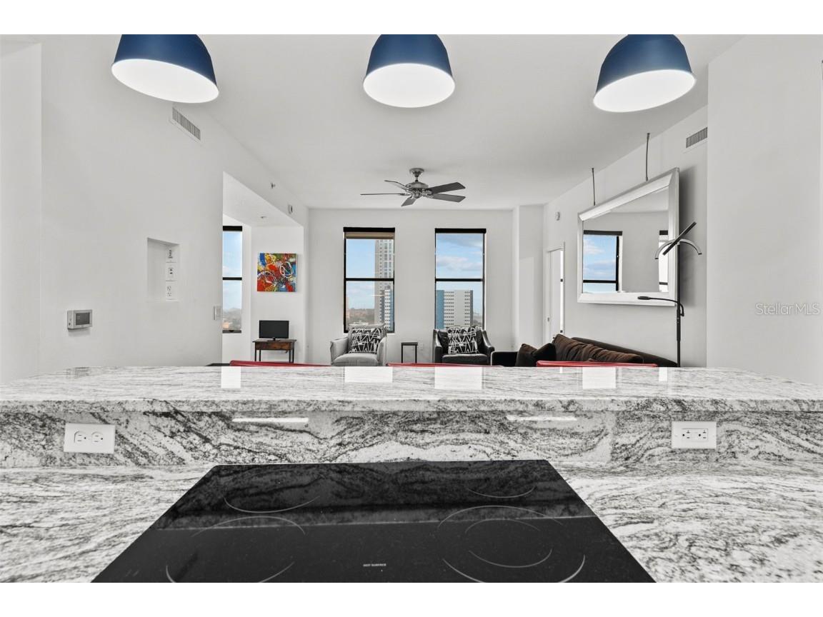 226 5th Avenue N #1106 Saint Petersburg FL 33701 TB8337576 image18