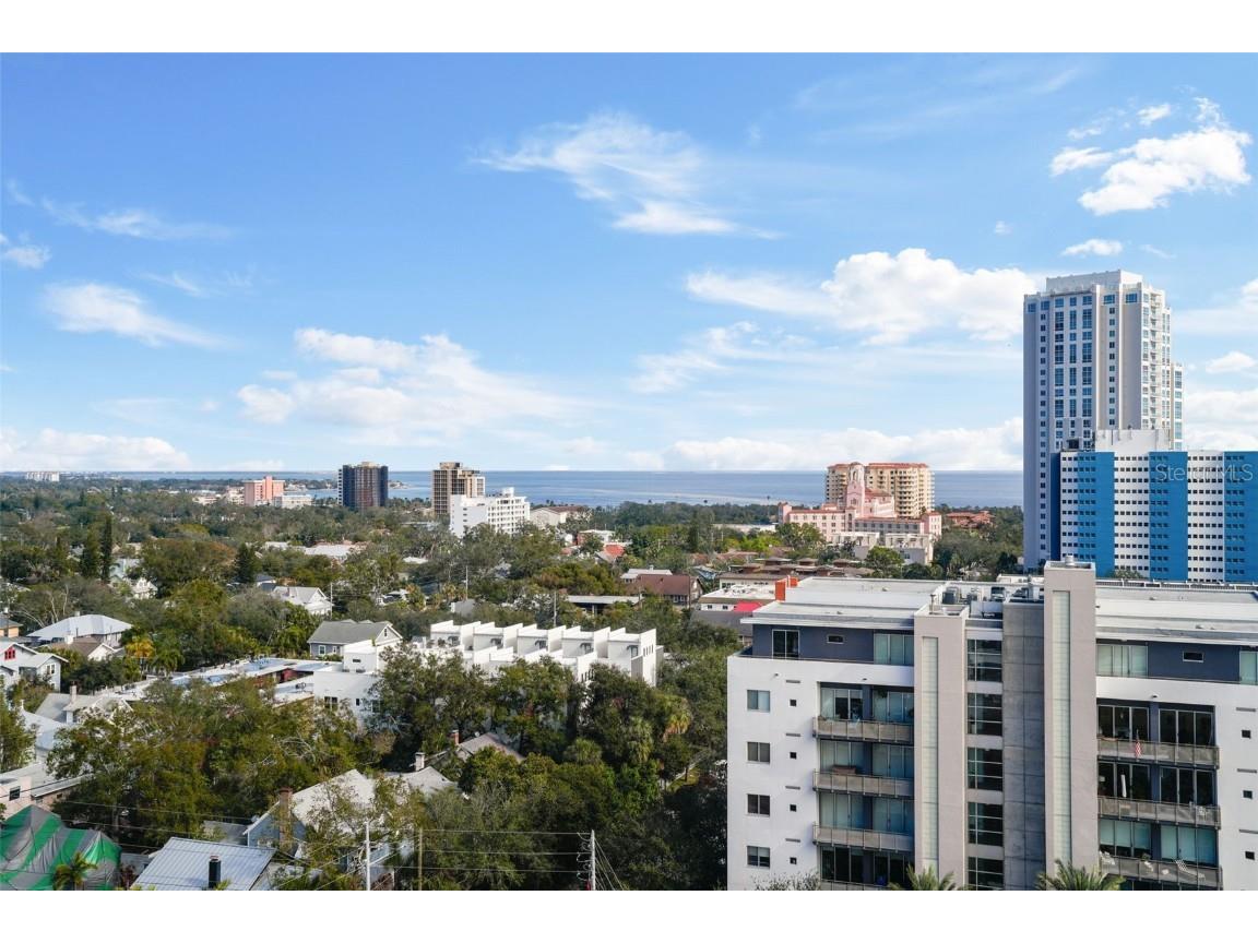 226 5th Avenue N #1106 Saint Petersburg FL 33701 TB8337576 image38