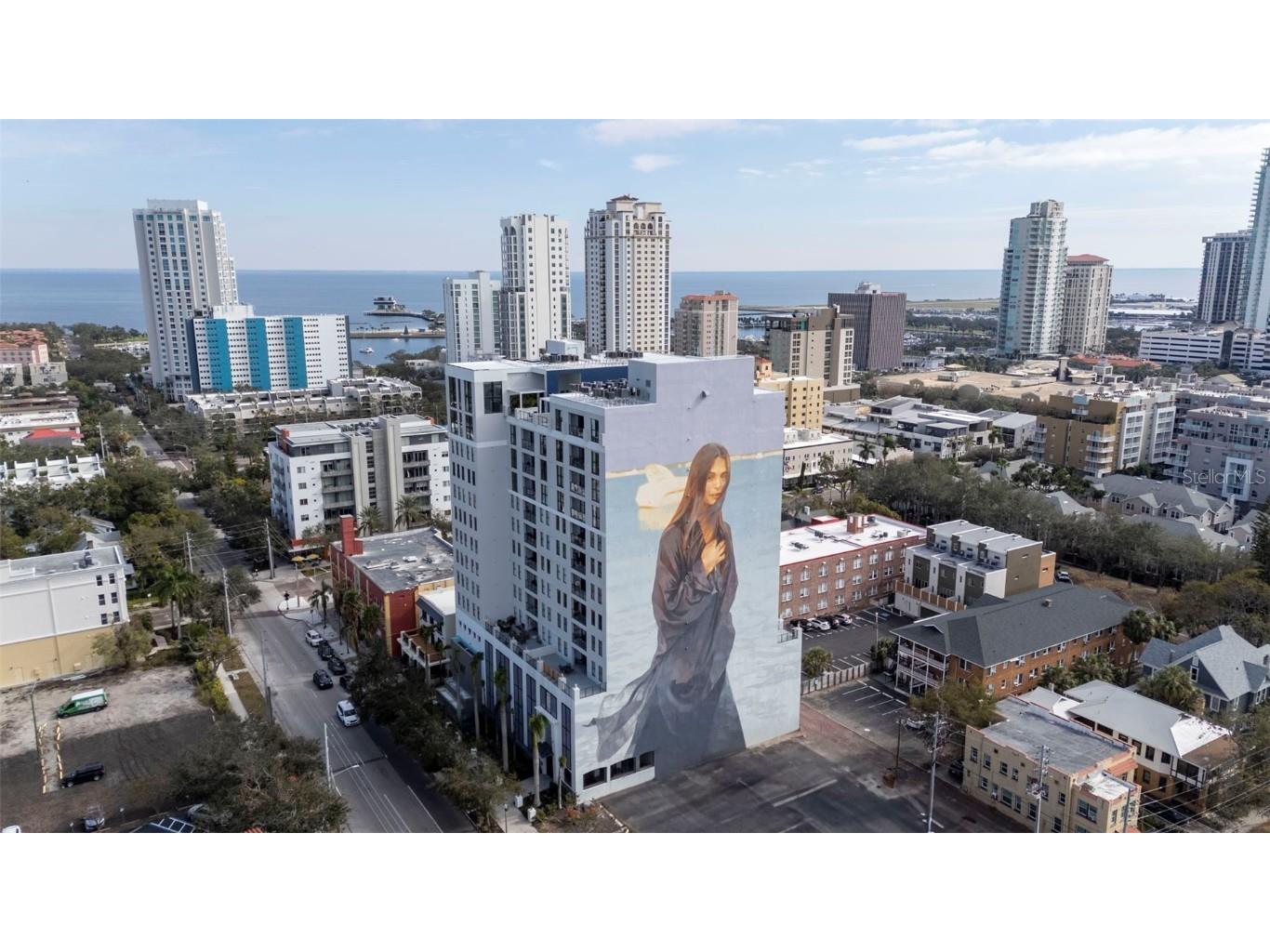 226 5th Avenue N #1106 Saint Petersburg FL 33701 TB8337576 image45