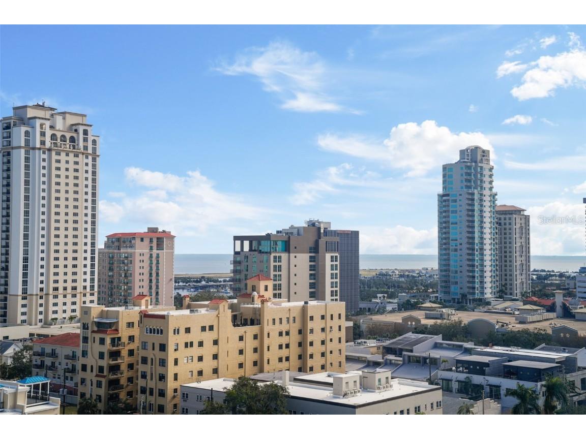 226 5th Avenue N #1106 Saint Petersburg FL 33701 TB8337576 image53