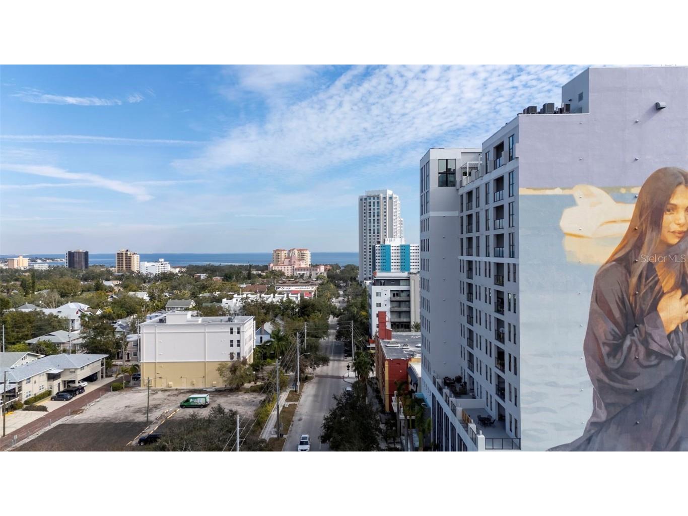 226 5th Avenue N #1106 Saint Petersburg FL 33701 TB8337576 image56