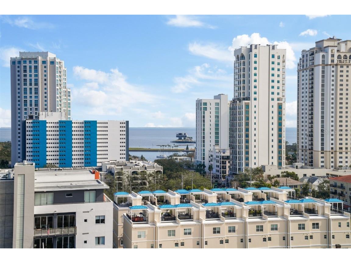 226 5th Avenue N #1106 Saint Petersburg FL 33701 TB8337576 image60