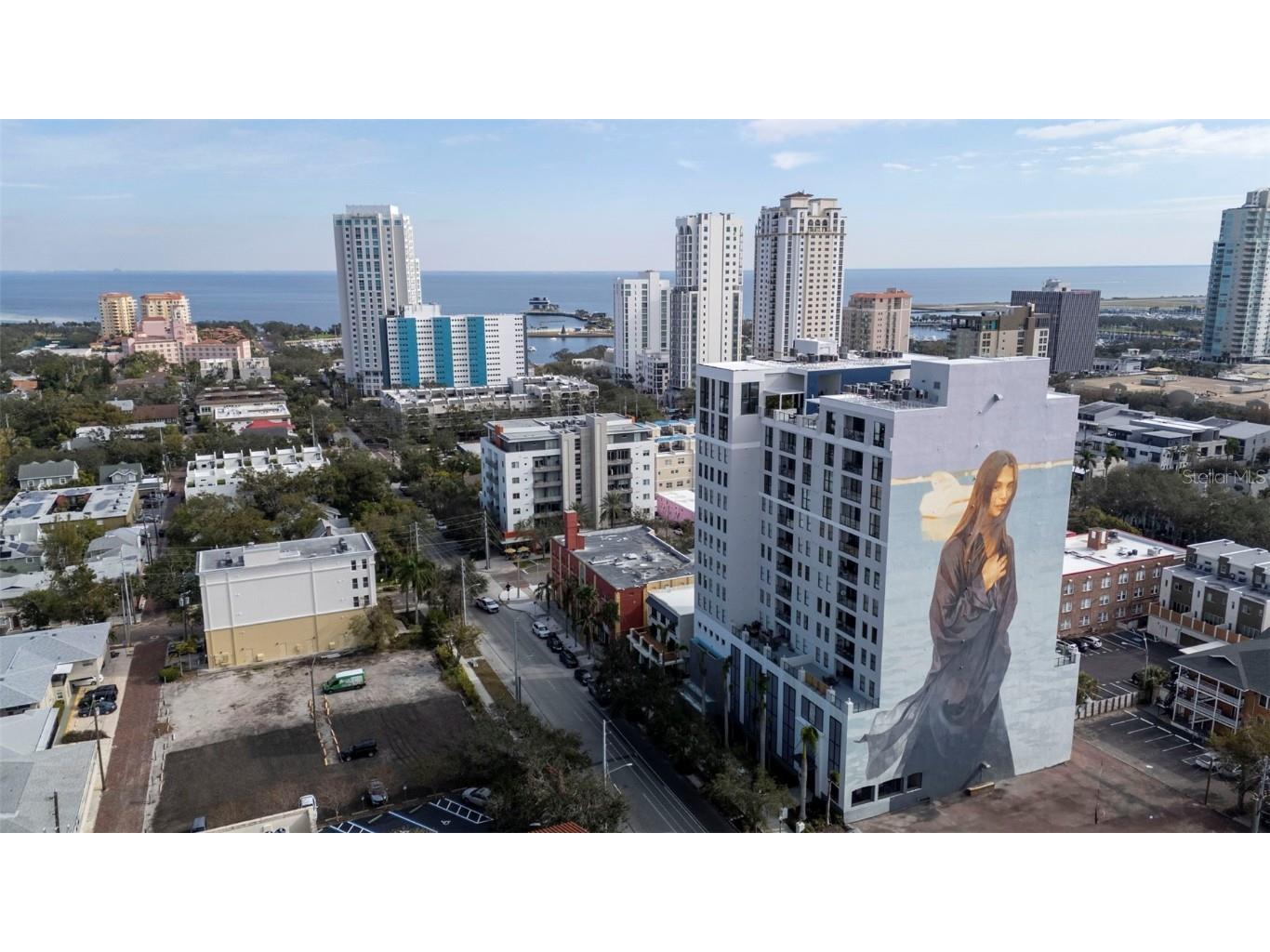 226 5th Avenue N #1106 Saint Petersburg FL 33701 TB8337576 image62