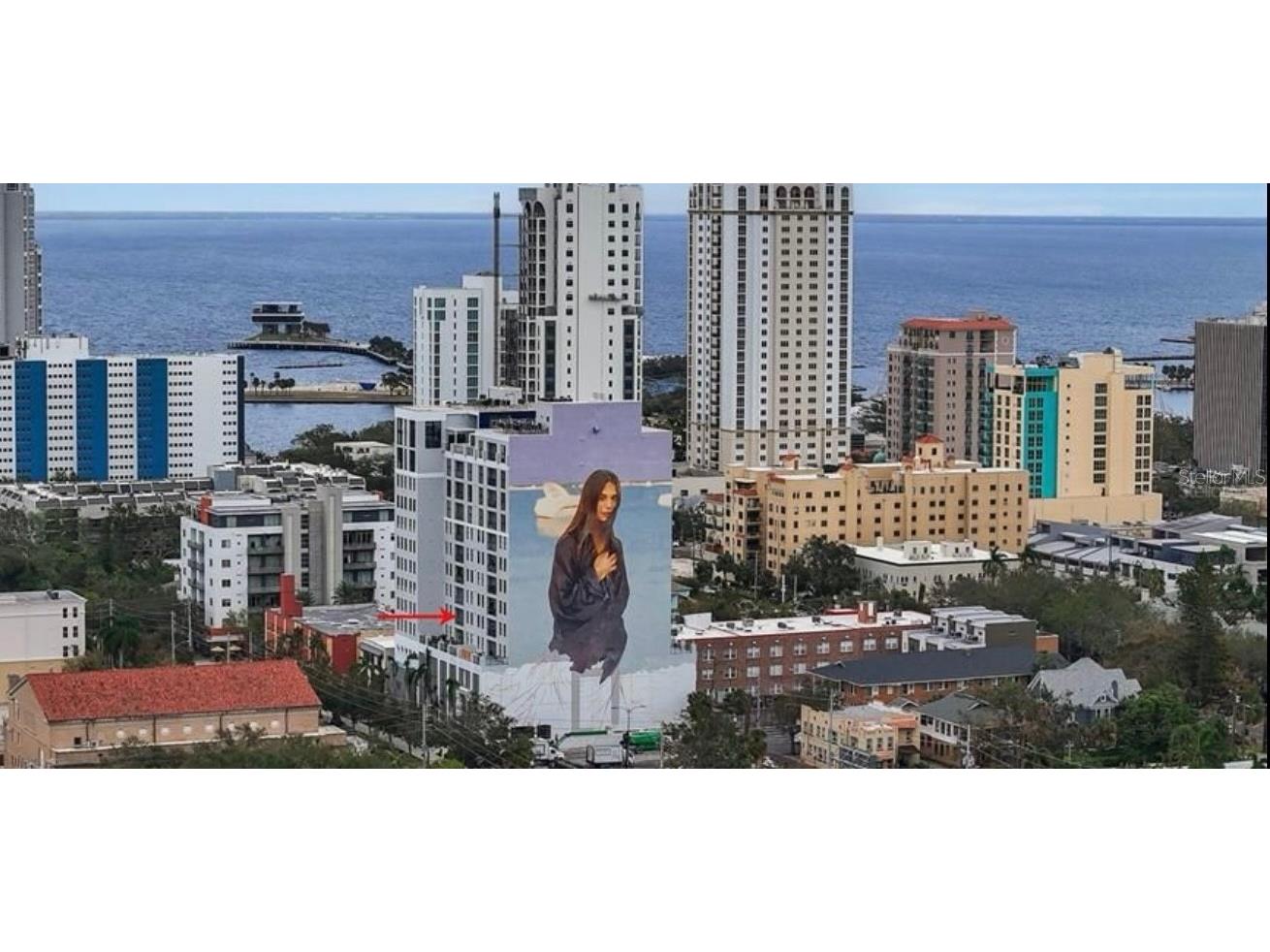 226 5th Avenue N #1106 Saint Petersburg FL 33701 TB8337576 image67