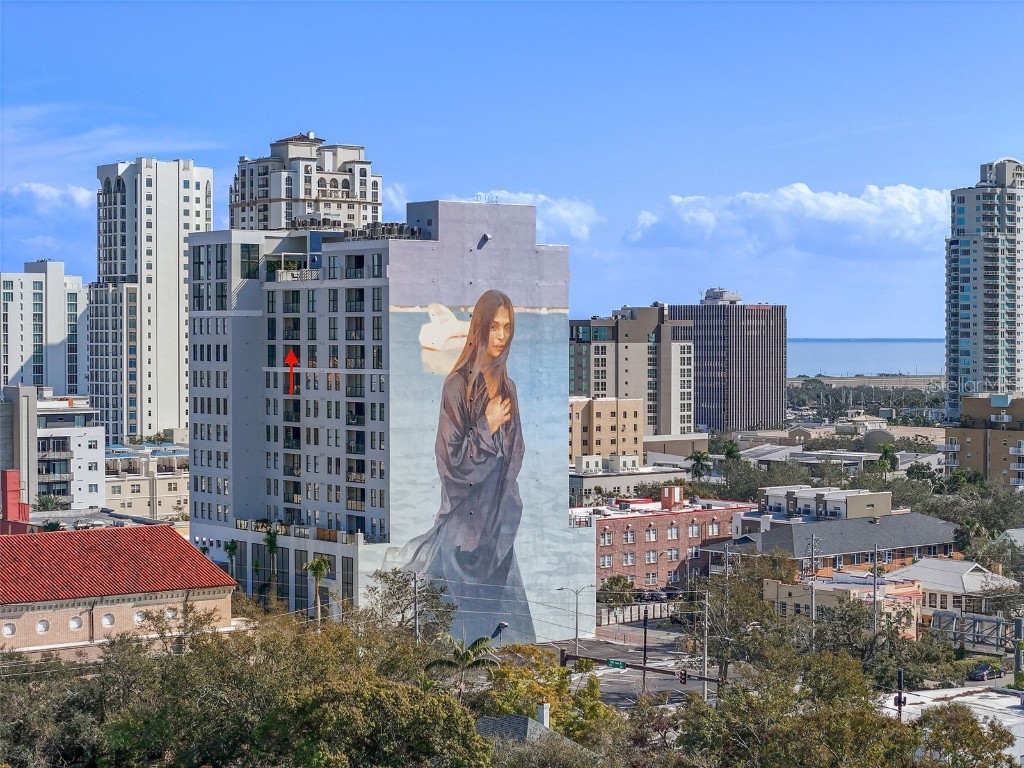 226 5th Avenue N #1203 Saint Petersburg FL 33701 TB8352207 image1