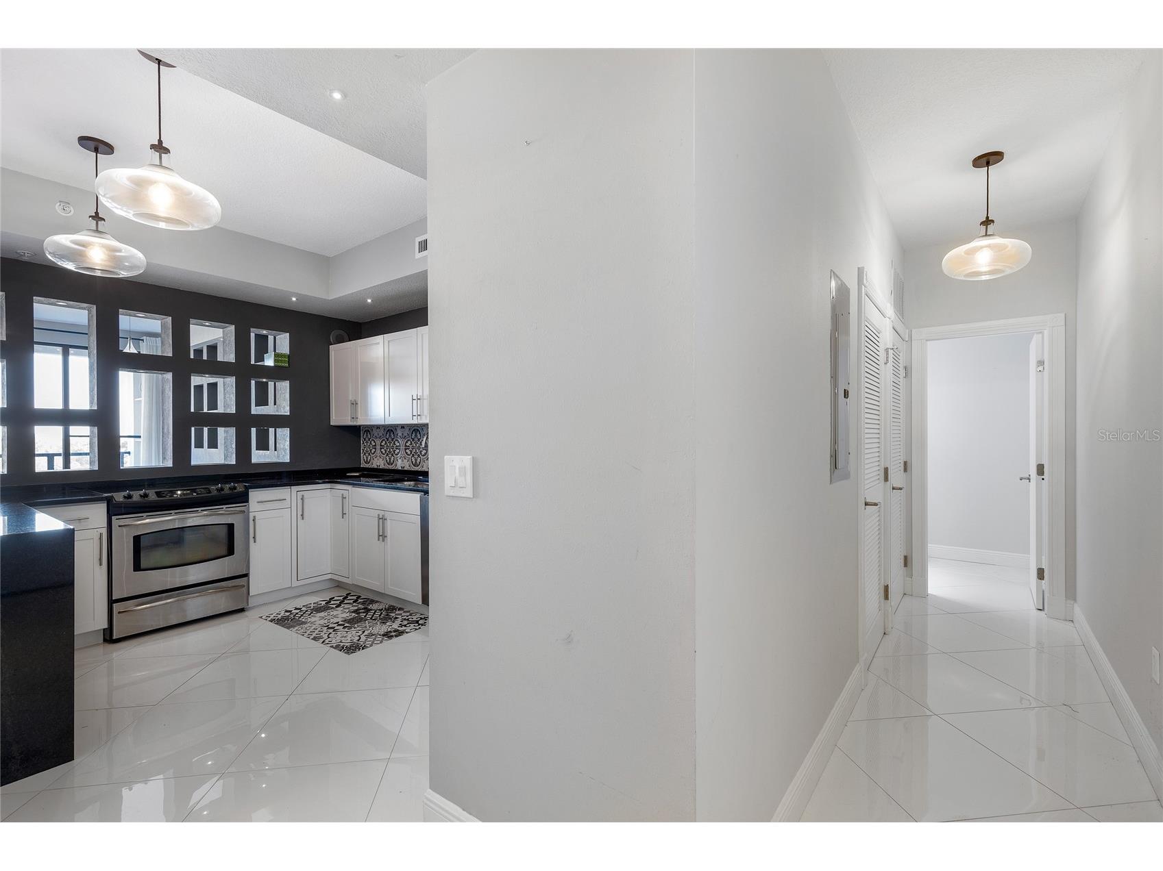226 5th Avenue N #601 Saint Petersburg FL 33701 TB8472050 image15