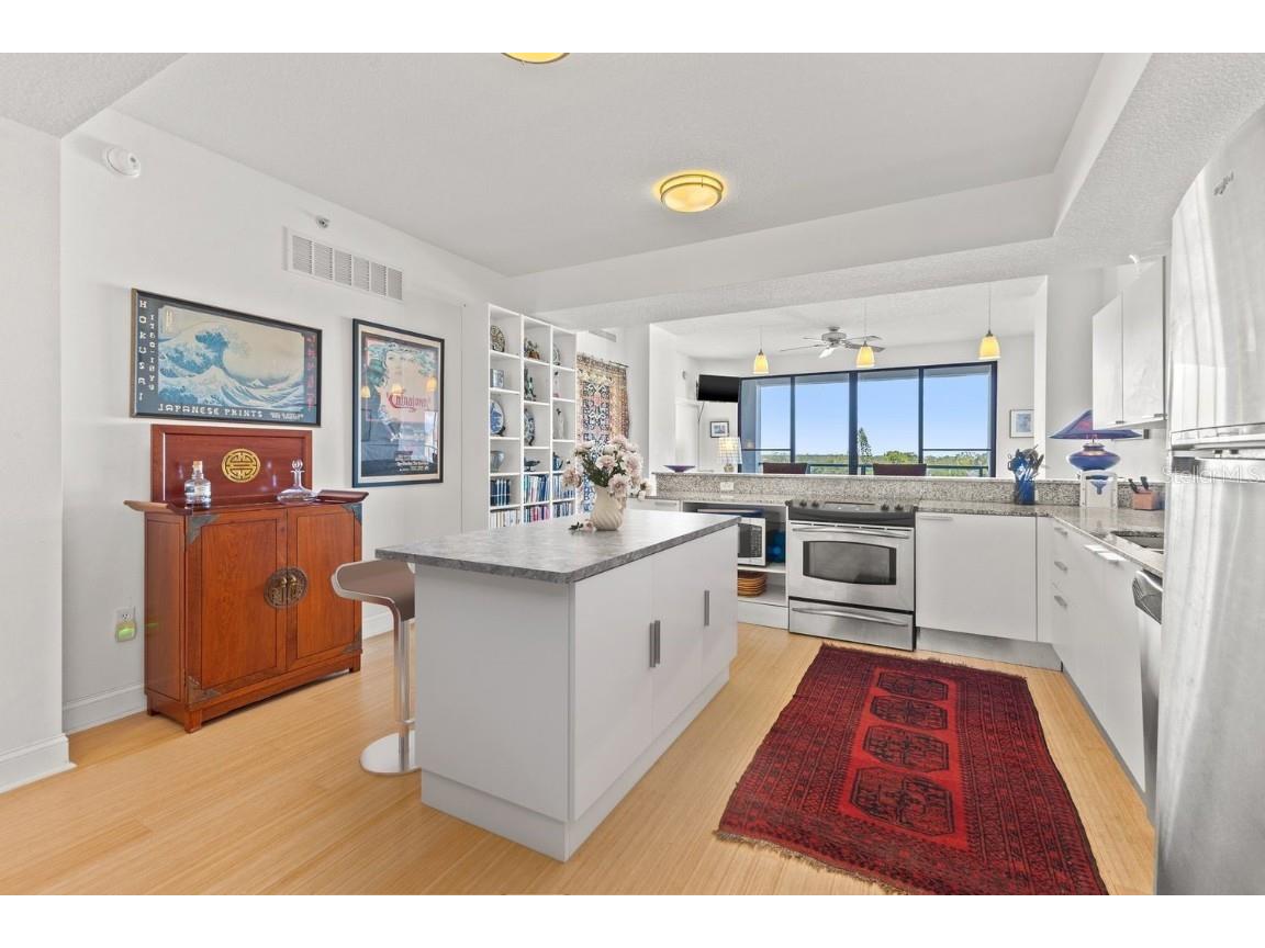 226 5th Avenue N #603 Saint Petersburg FL 33701 TB8433378 image11