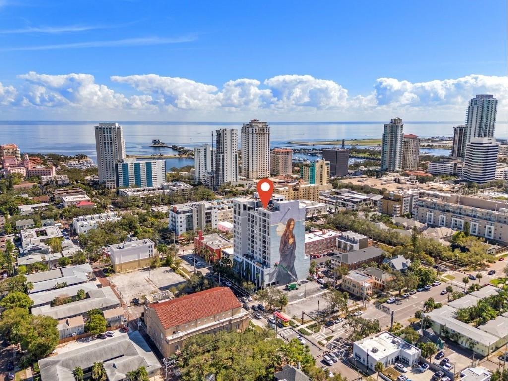 226 5th Avenue N #603 Saint Petersburg FL 33701 TB8433378 image36