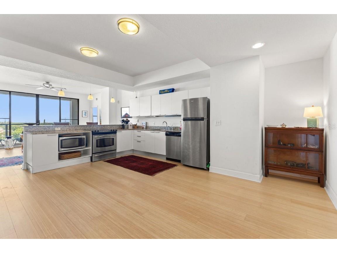 226 5th Avenue N #603 Saint Petersburg FL 33701 TB8433378 image6