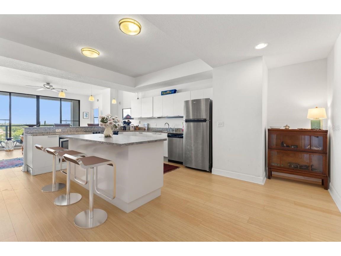 226 5th Avenue N #603 Saint Petersburg FL 33701 TB8433378 image8