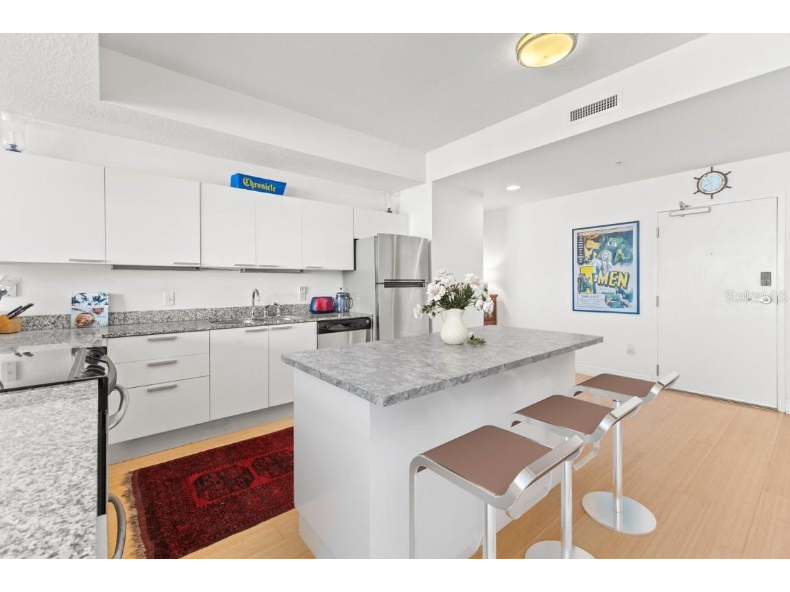 226 5th Avenue N #603 Saint Petersburg FL 33701 TB8433378 image9