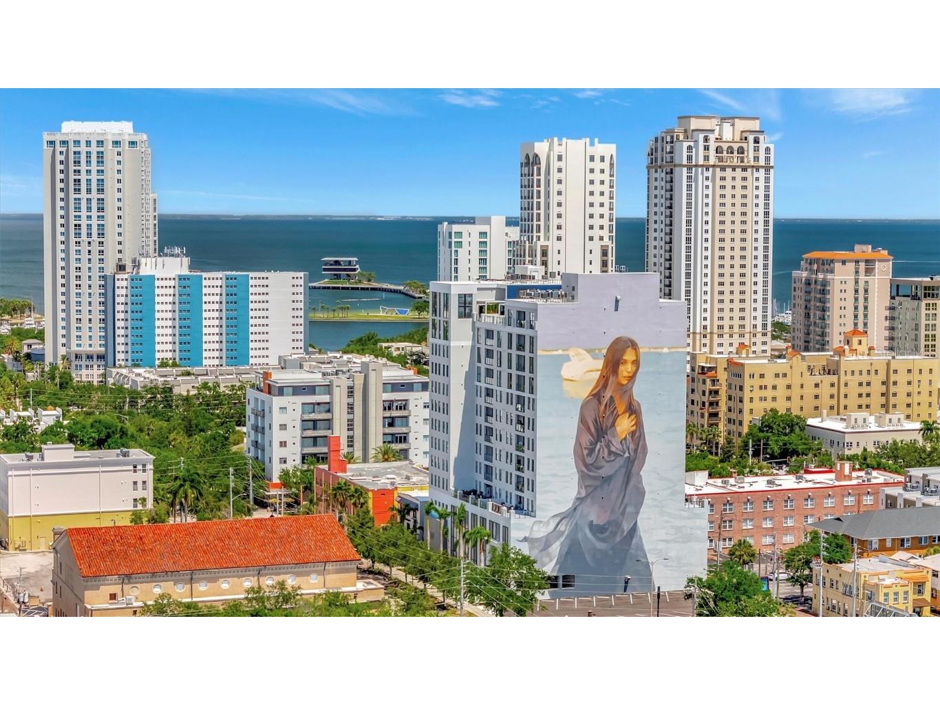 226 5th Avenue N #605 Saint Petersburg FL 33701 TB8374568 image1