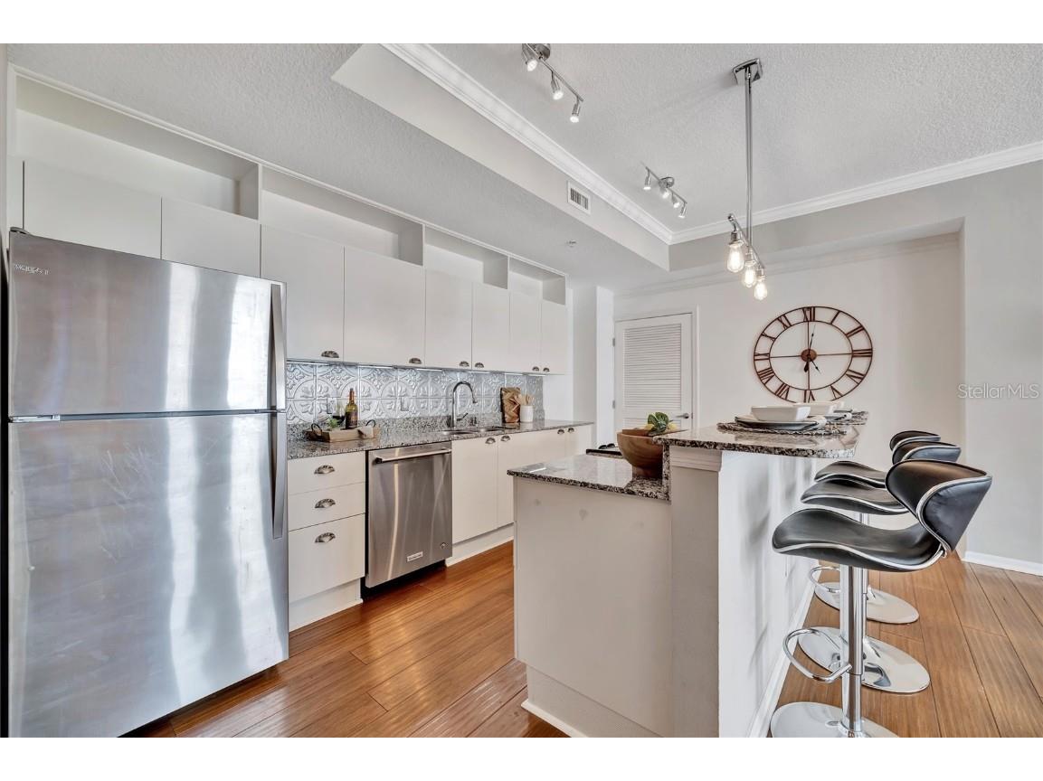 226 5th Avenue N #605 Saint Petersburg FL 33701 TB8374568 image14