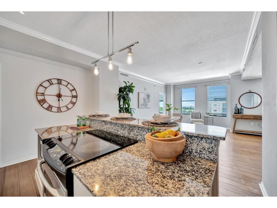 226 5th Avenue N #605 Saint Petersburg FL 33701 TB8374568 image15