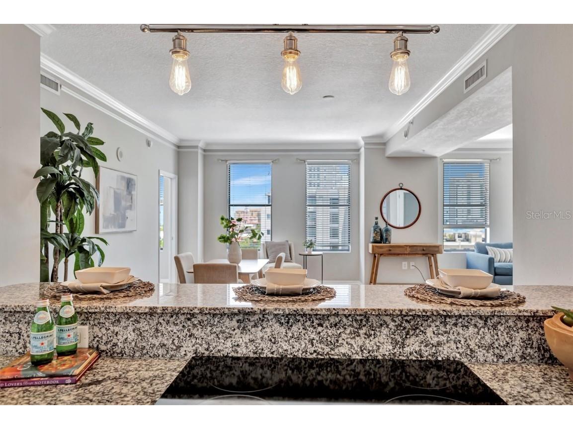 226 5th Avenue N #605 Saint Petersburg FL 33701 TB8374568 image16