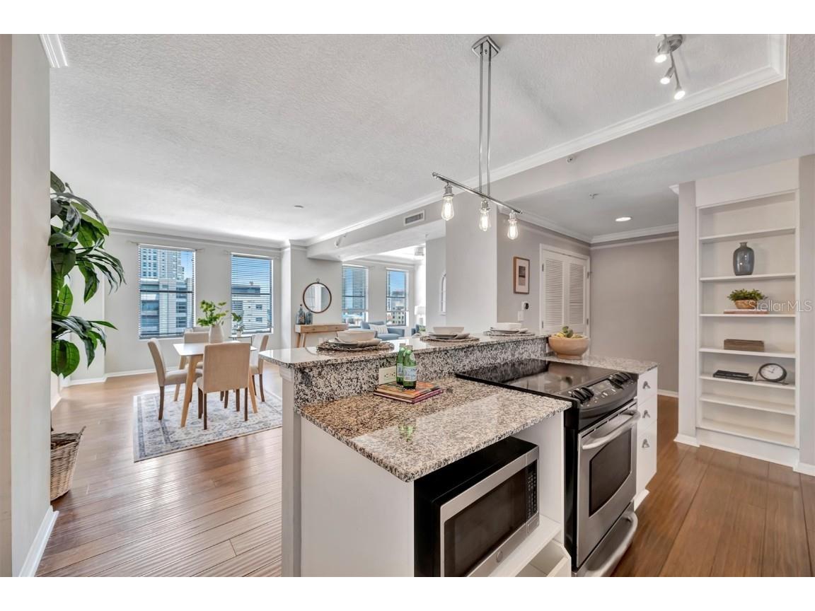 226 5th Avenue N #605 Saint Petersburg FL 33701 TB8374568 image17