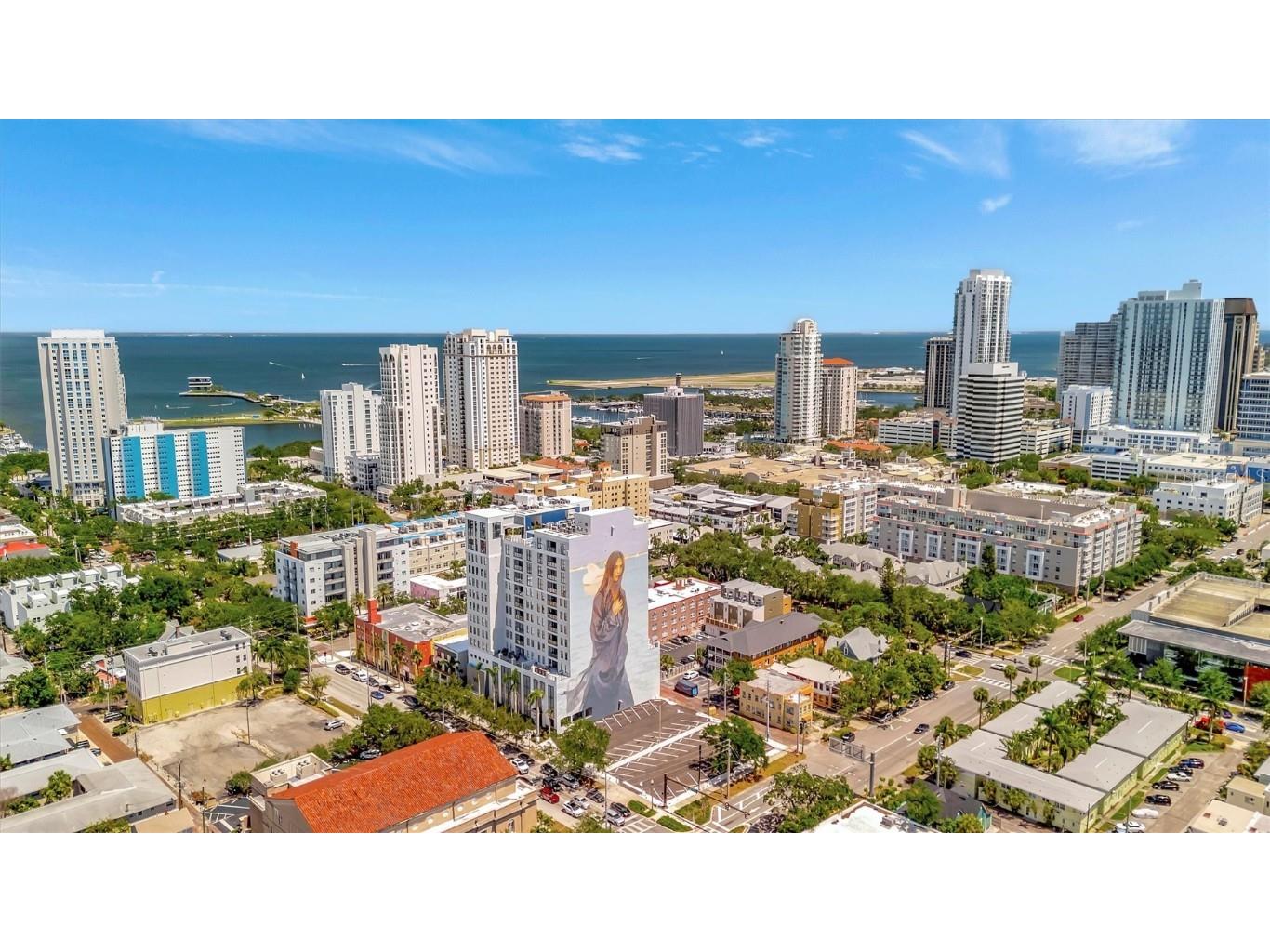 226 5th Avenue N #605 Saint Petersburg FL 33701 TB8374568 image3