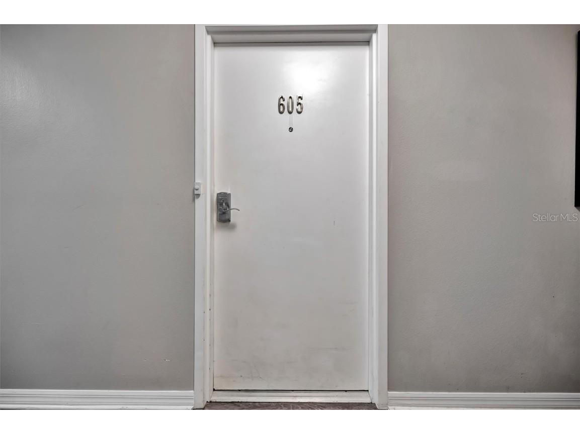 226 5th Avenue N #605 Saint Petersburg FL 33701 TB8374568 image5