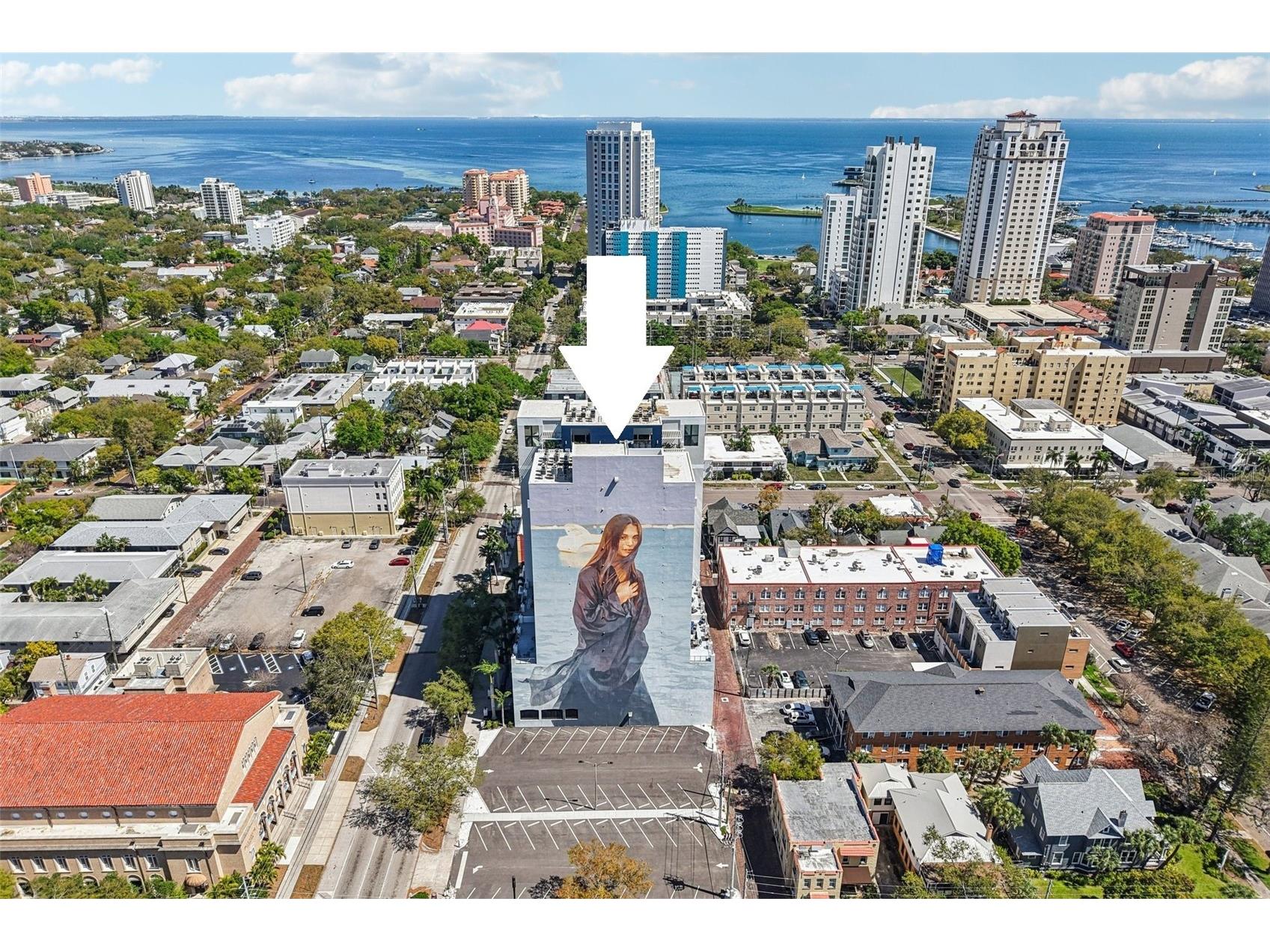 226 5th Avenue N #801 Saint Petersburg FL 33701 TB8485359 image1