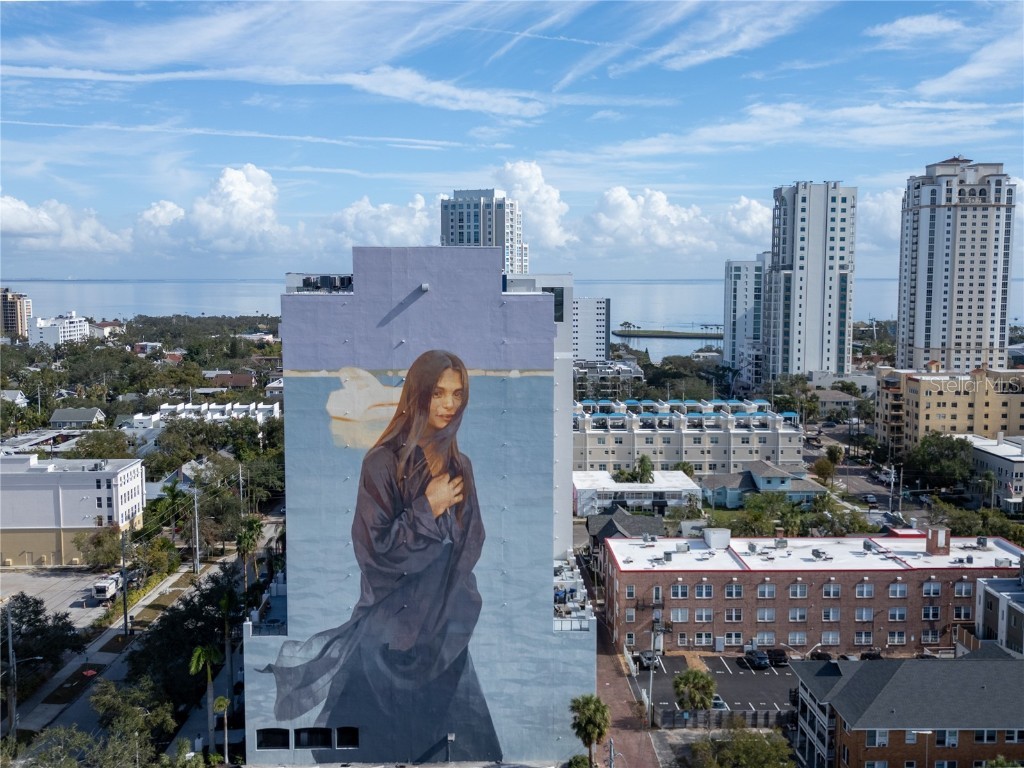 226 5th Avenue N #804 Saint Petersburg FL 33701 T3517303 image1