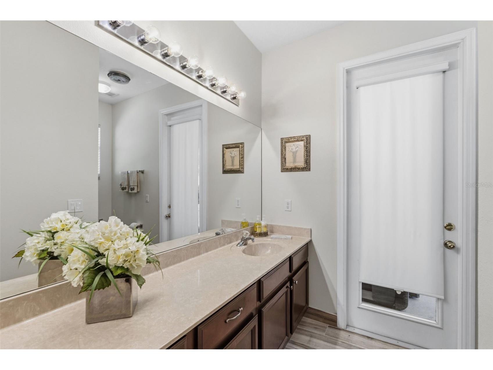 226 Alexandria Place Drive Apopka FL 32712 O6416845 image24