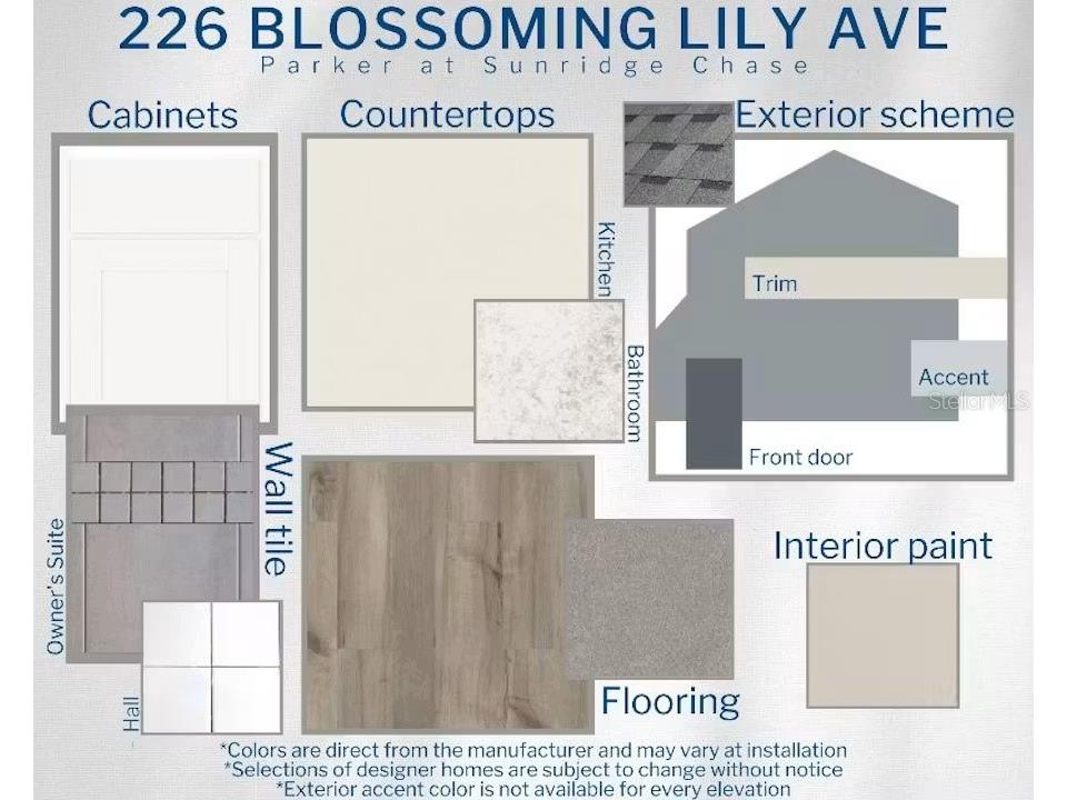 226 Blossoming Lily Avenue Ruskin FL 33570 L4963789 image3