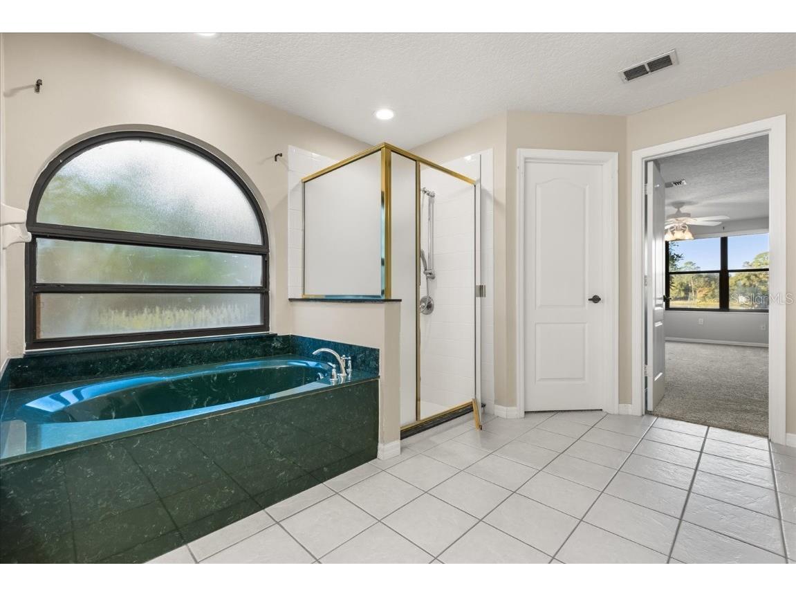 226 Brightview Drive Lake Mary FL 32746 O6353218 image32