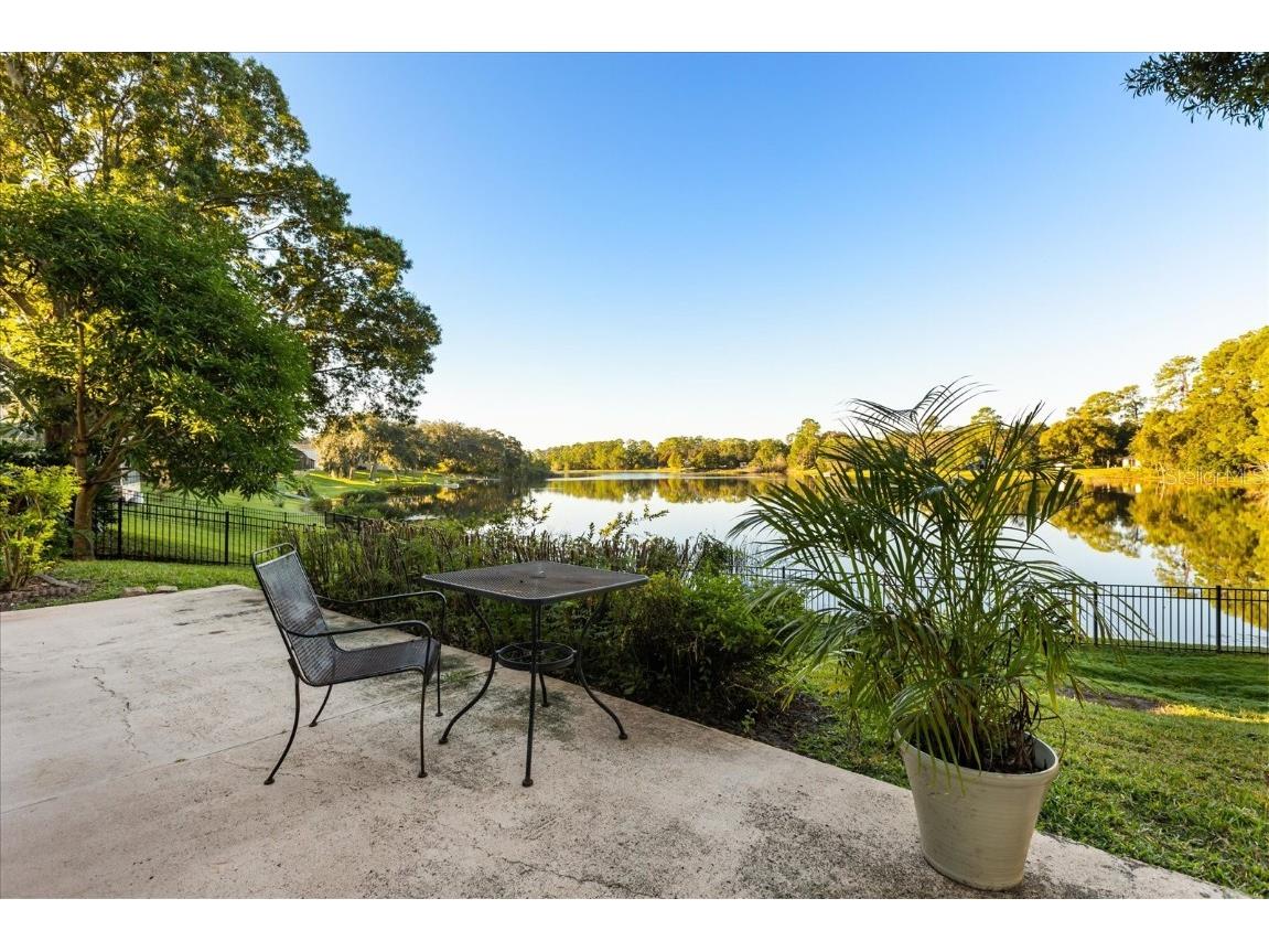 226 Brightview Drive Lake Mary FL 32746 O6353218 image33