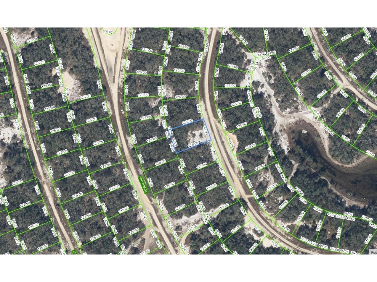 226 Dargen Drive Lake Placid FL 33852 C7484284 image1