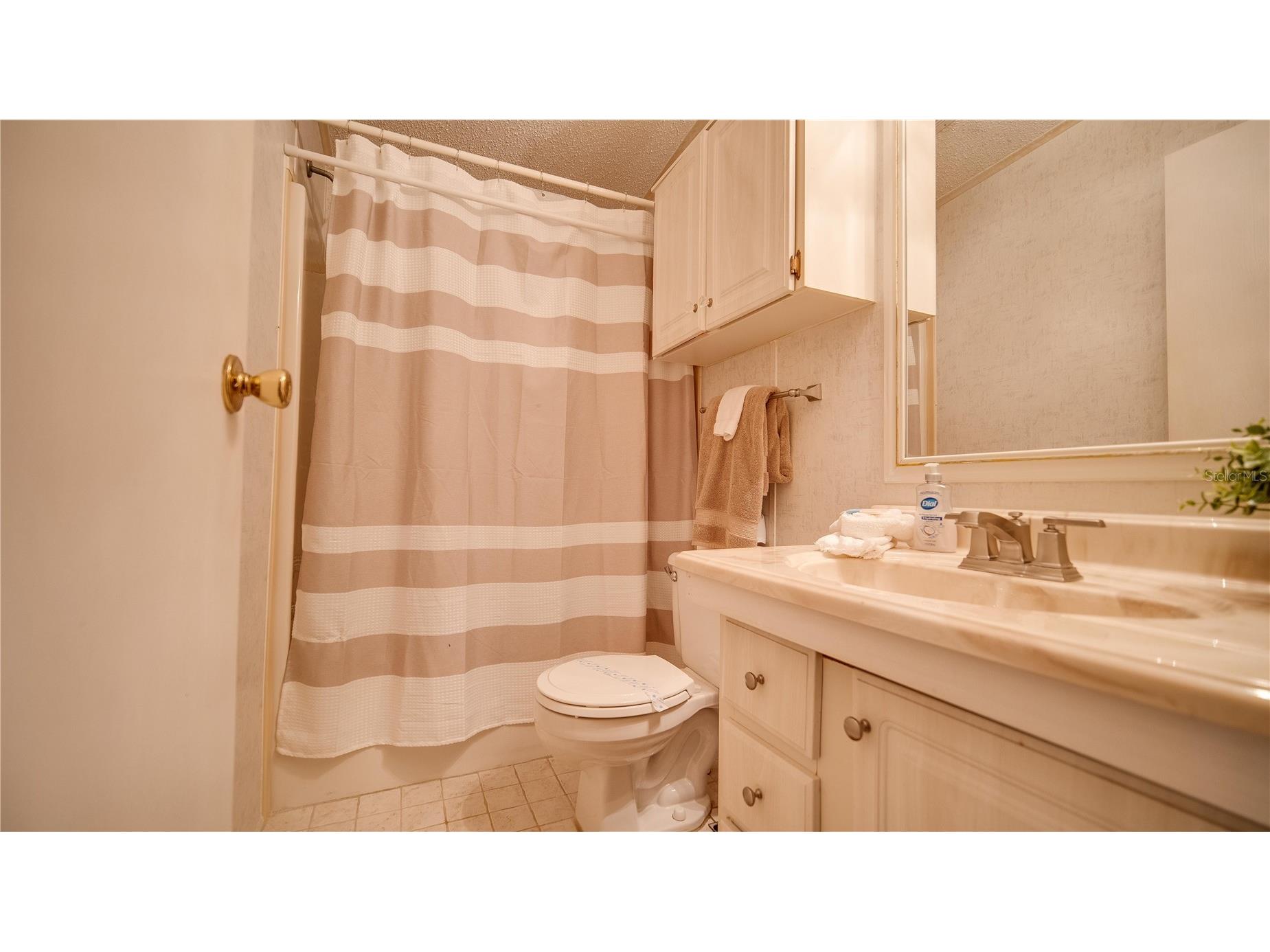 226 Douglas Park Avenue Davenport FL 33897 S5148268 image14
