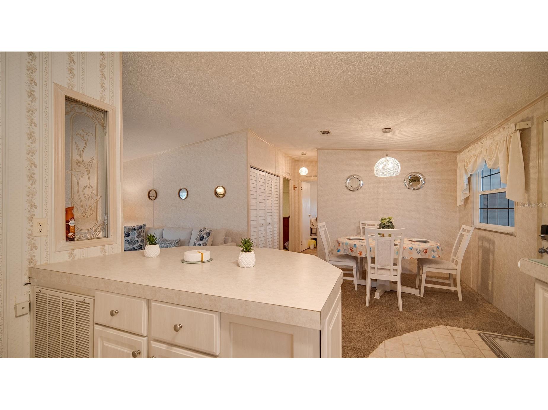 226 Douglas Park Avenue Davenport FL 33897 S5148268 image4