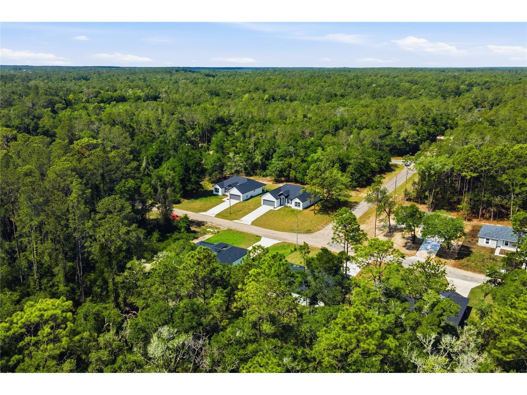 226 E Caldwell Drive Dunnellon FL 34434 O6407186 image40