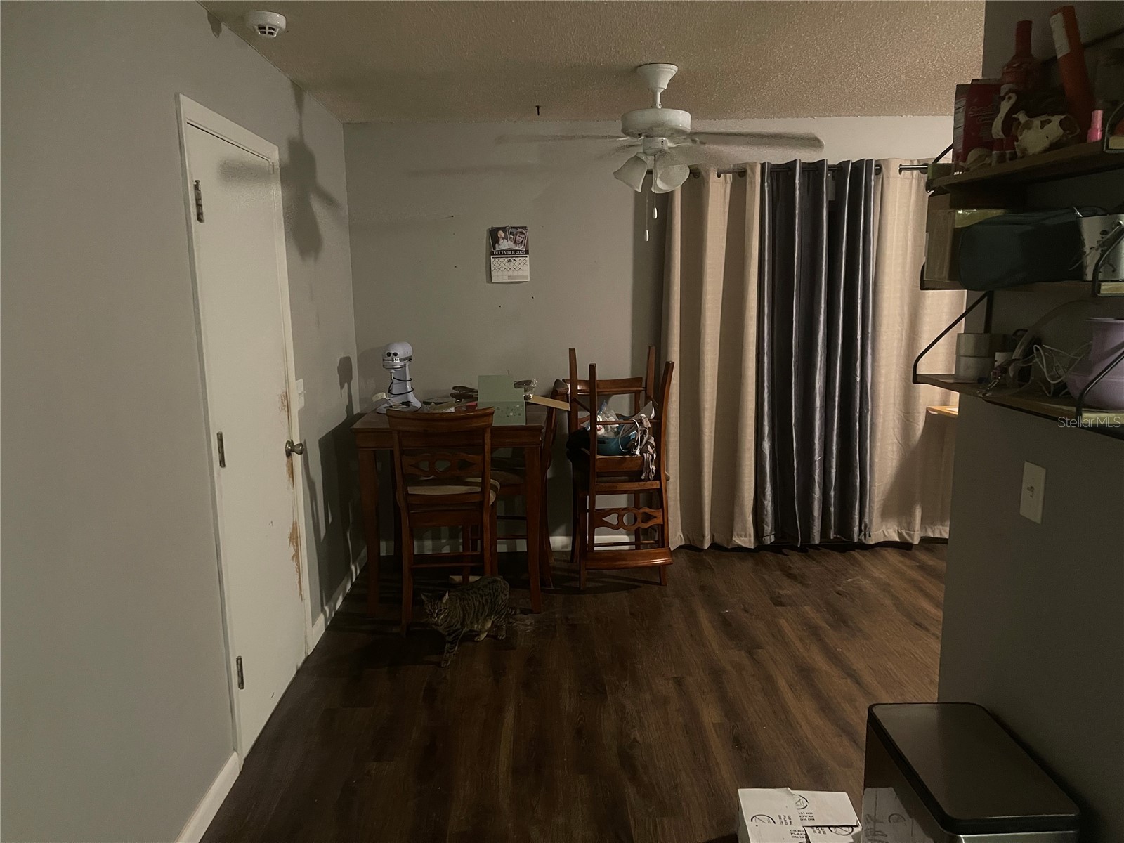 226 Grande Vista Street Debary FL 32713 O6373242 image4