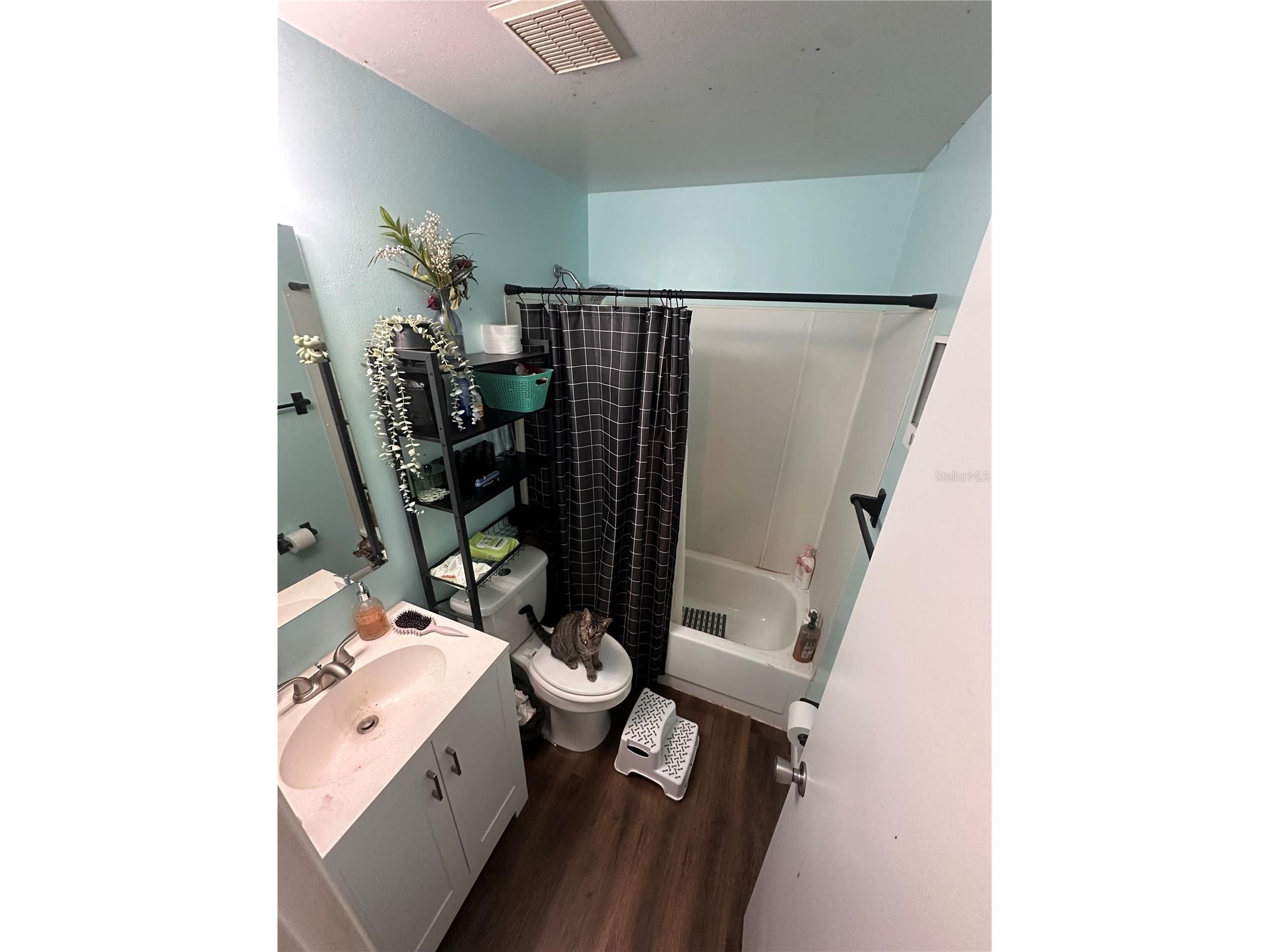 226 Grande Vista Street Debary FL 32713 O6373242 image7