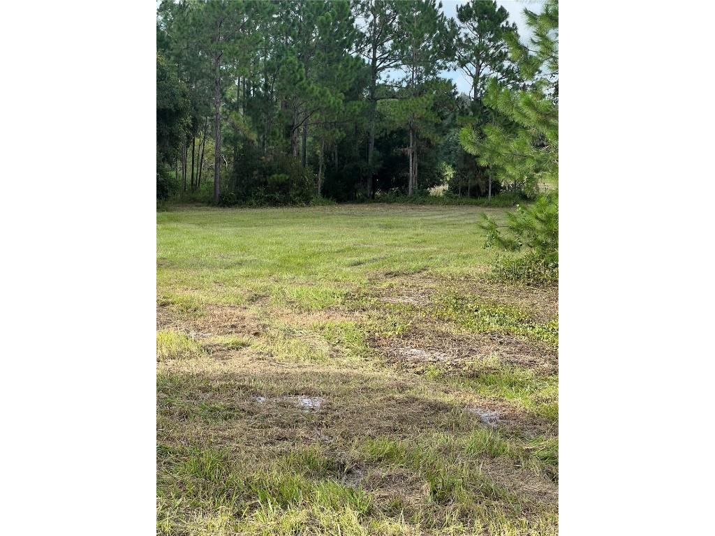 226 Hunting Shortcut Road Crescent City FL 32112 O6291688 image10