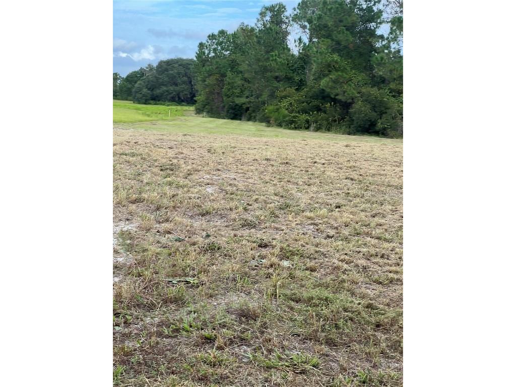 226 Hunting Shortcut Road Crescent City FL 32112 O6291688 image12