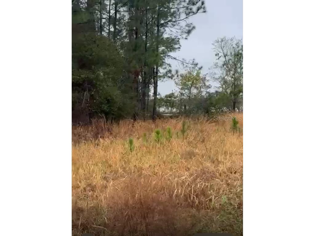 226 Hunting Shortcut Road Crescent City FL 32112 O6291688 image14