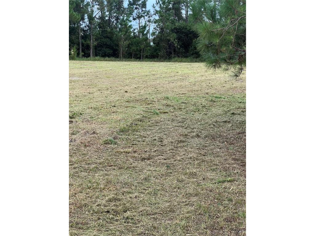 226 Hunting Shortcut Road Crescent City FL 32112 O6291688 image15