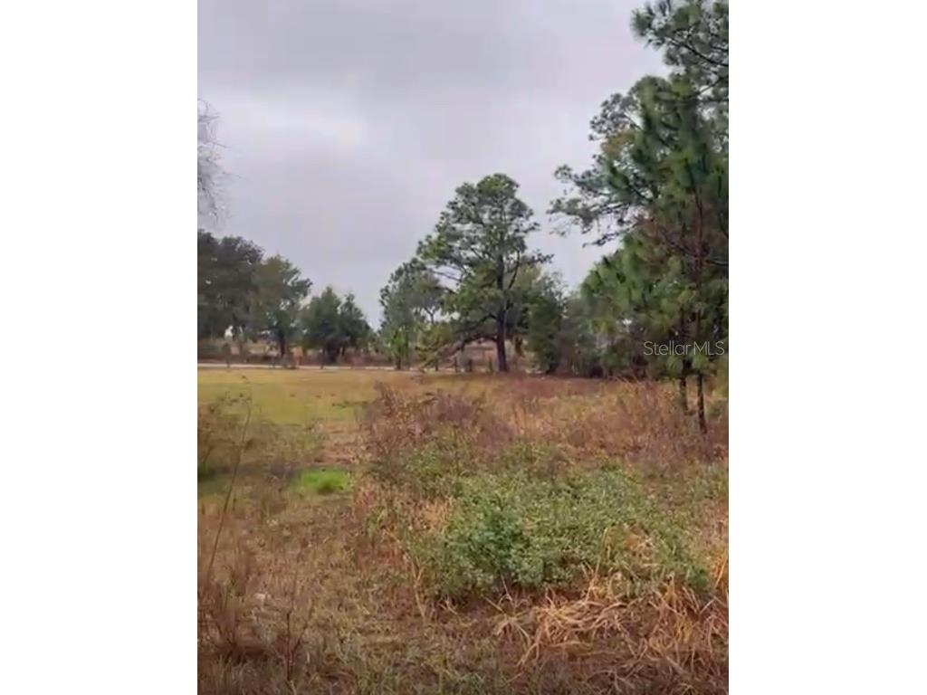 226 Hunting Shortcut Road Crescent City FL 32112 O6291688 image18