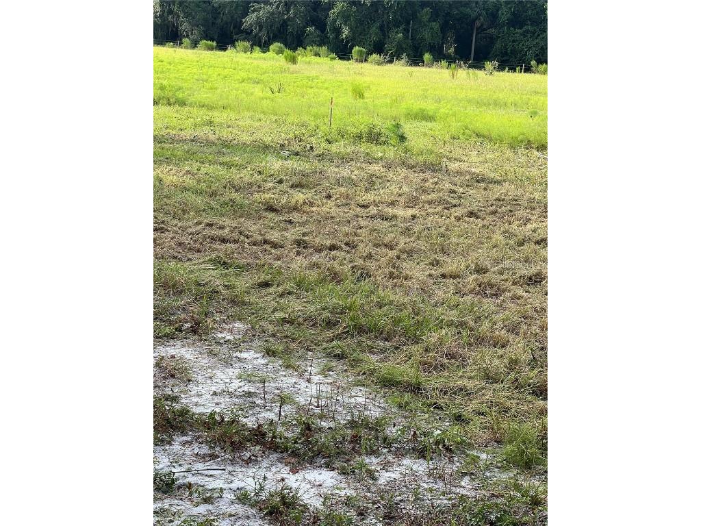 226 Hunting Shortcut Road Crescent City FL 32112 O6291688 image19