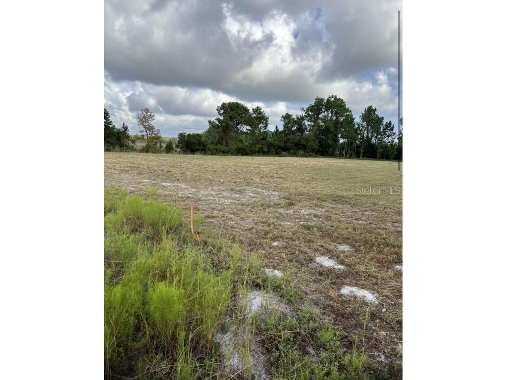 226 Hunting Shortcut Road Crescent City FL 32112 O6291688 image3