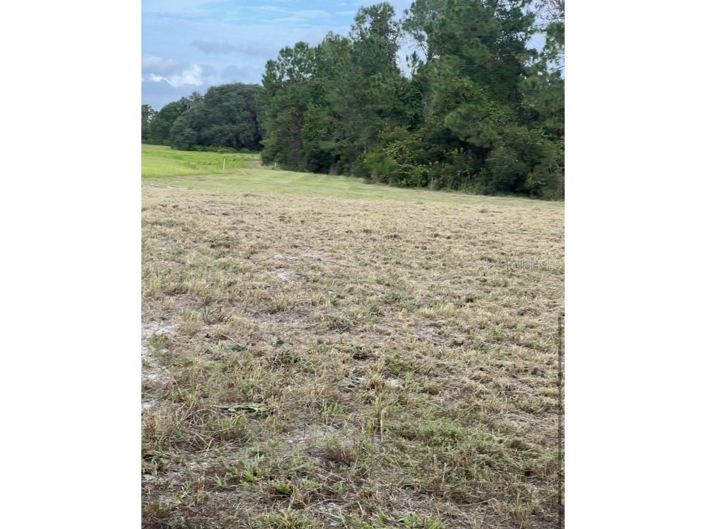 226 Hunting Shortcut Road Crescent City FL 32112 O6291688 image4