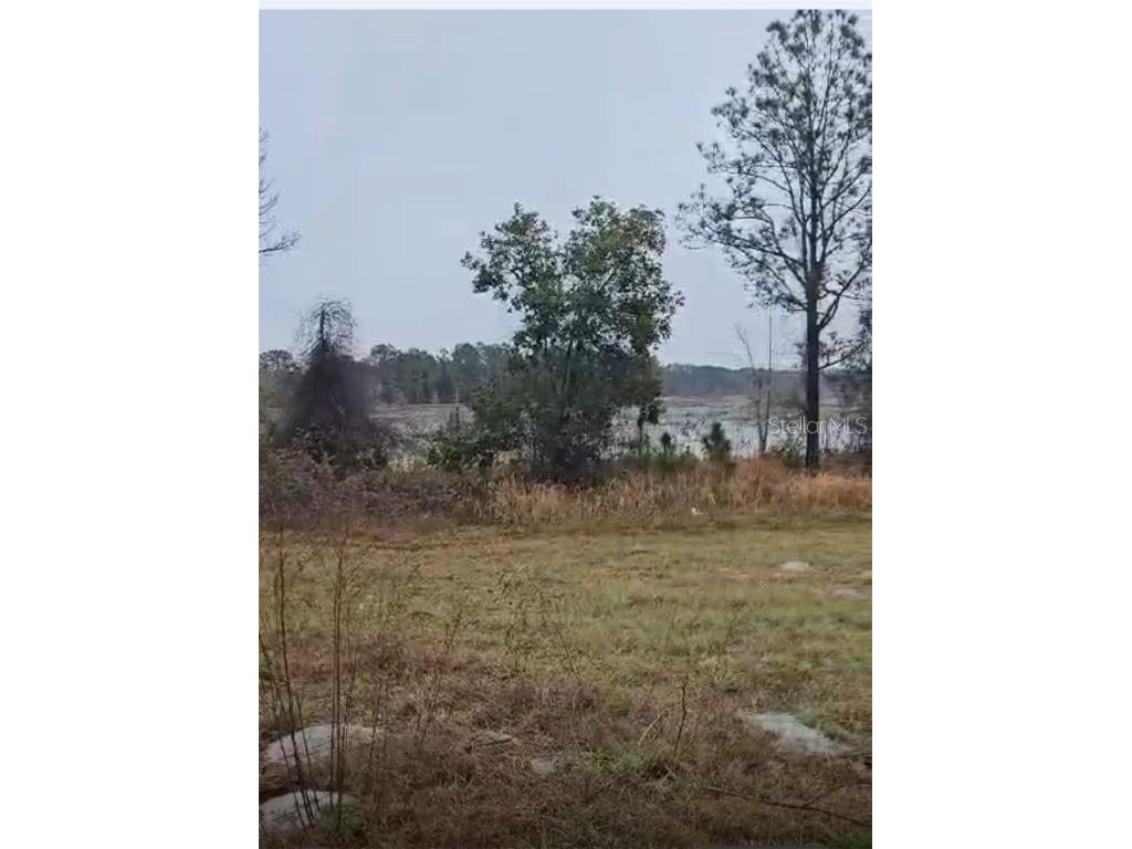 226 Hunting Shortcut Road Crescent City FL 32112 O6291688 image5