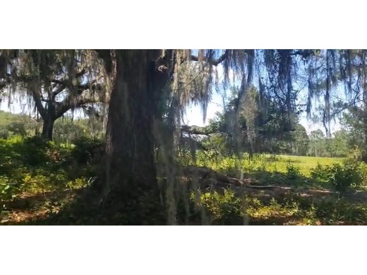 226 Hunting Shortcut Road Crescent City FL 32112 O6291688 image6