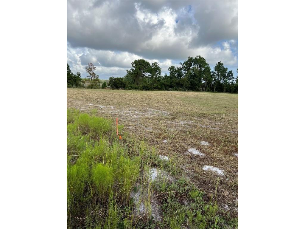 226 Hunting Shortcut Road Crescent City FL 32112 O6291688 image8