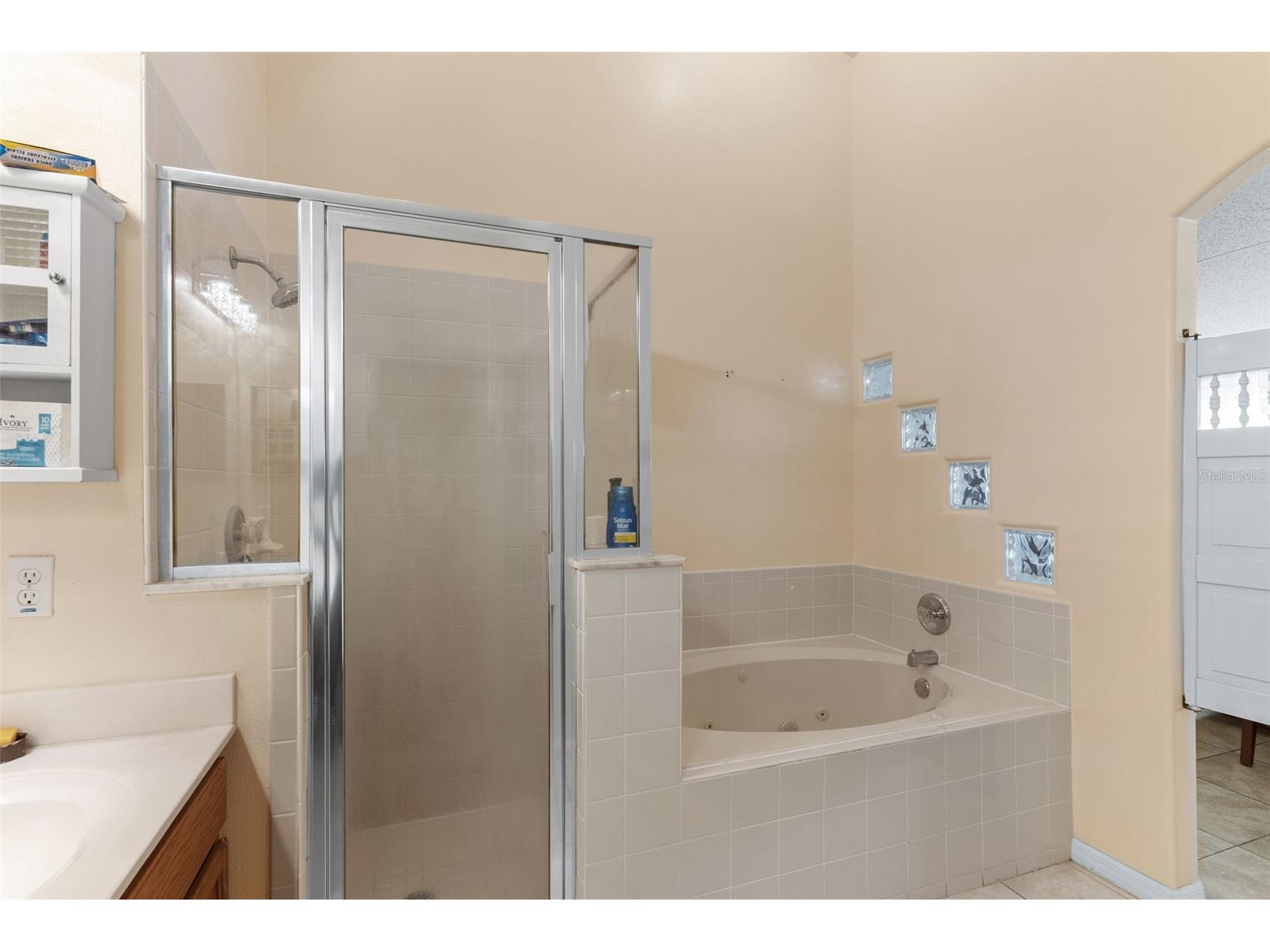 226 Jessamine Drive Davenport FL 33837 O6366970 image14