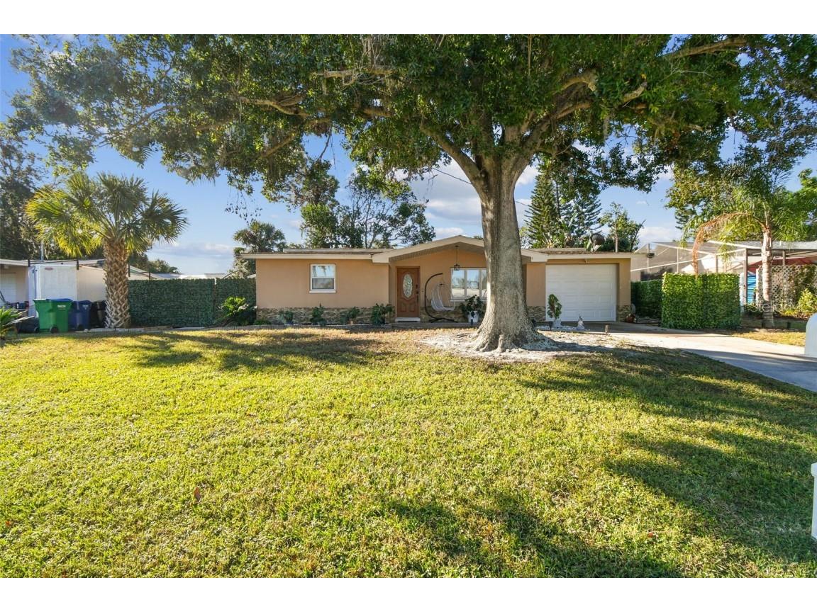 226 Maple Avenue Palm Harbor FL 34684 TB8444705 image4