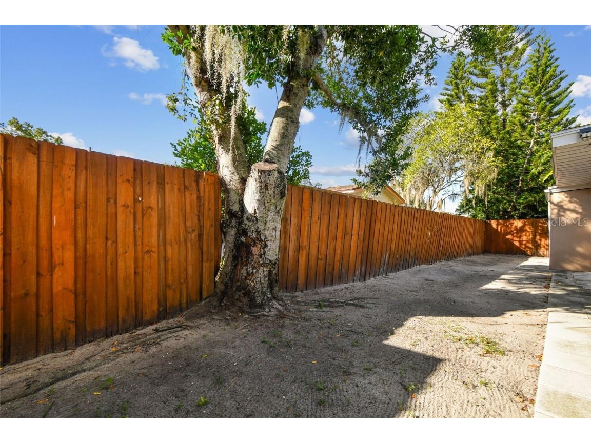 226 Maple Avenue Palm Harbor FL 34684 TB8444705 image46